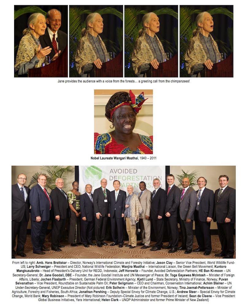 Photo Montage Page 4