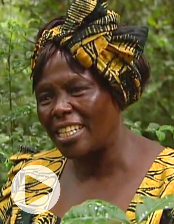 Wangari Maathai