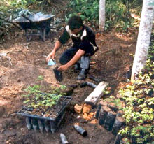 picture of a guy planting