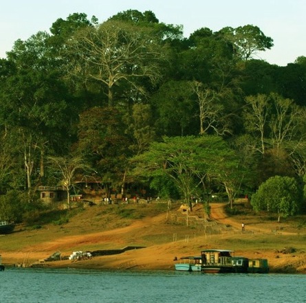 picture of riverbank