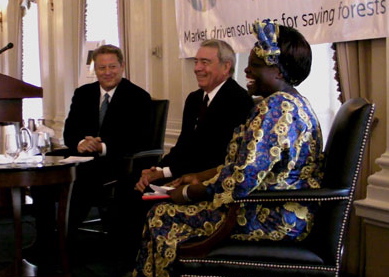 Wangari, Rather, Gore